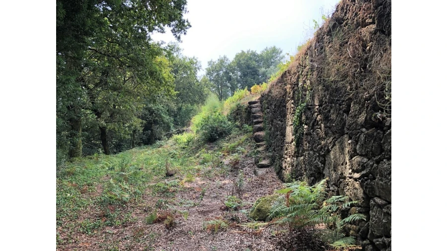 Terreno para Venda em Bouro (Santa Maria) Foto 3