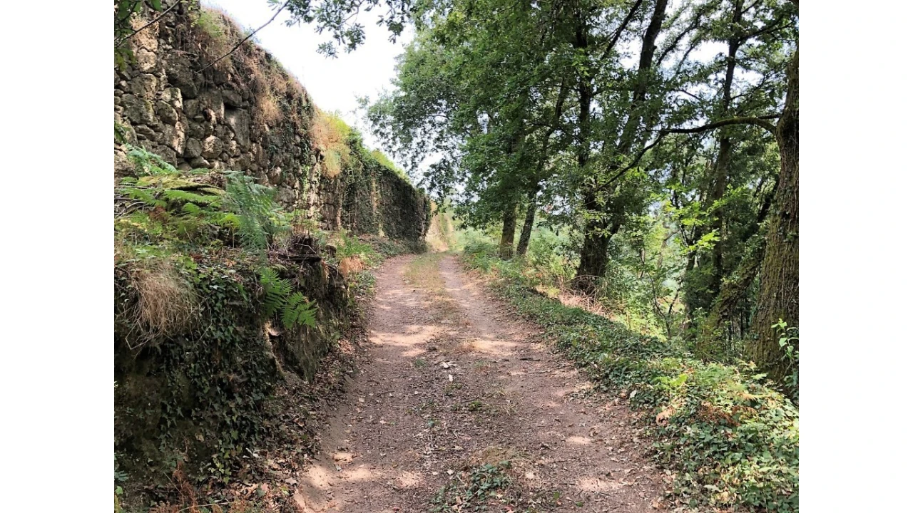 Terreno para Venda em Bouro (Santa Maria) Foto 4