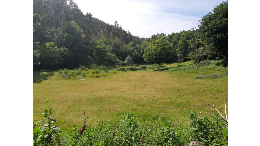 Terreno para Venda em Valdosende Foto 7