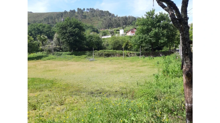 Terreno para Venda em Valdosende Foto 2