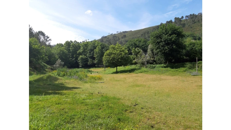 Terreno para Venda em Valdosende Foto 1