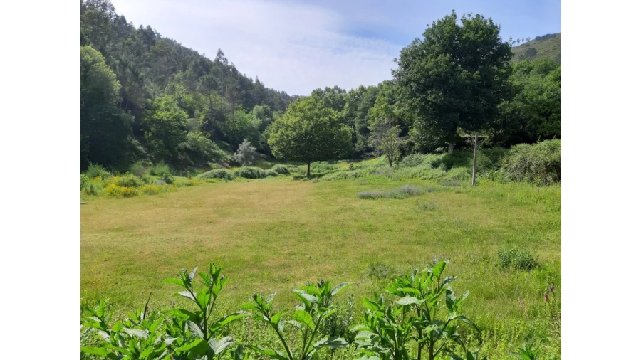 Terreno para Venda em Valdosende Foto 4