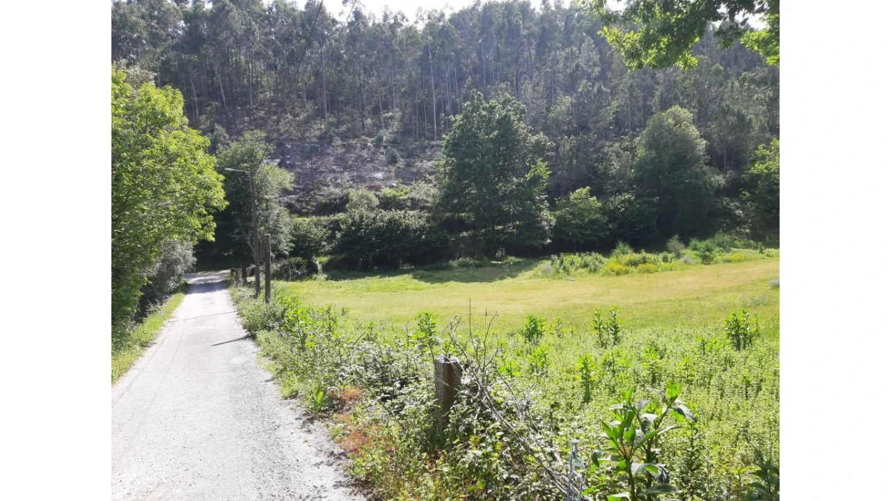 Terreno para Venda em Valdosende Foto 8