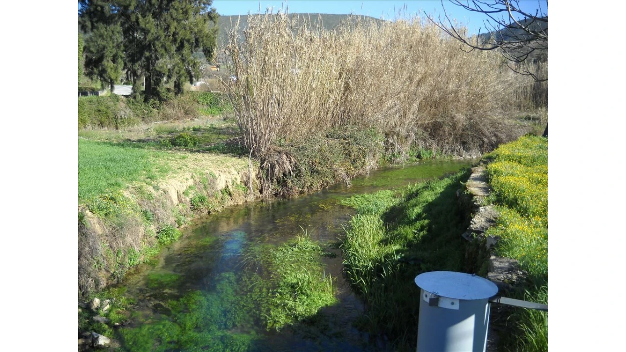 Quinta para Venda em Leiria, Pousos, Barreira e Cortes Foto 23