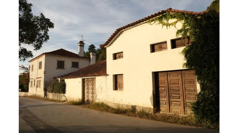Quinta para Venda em Leiria, Pousos, Barreira e Cortes Foto 3