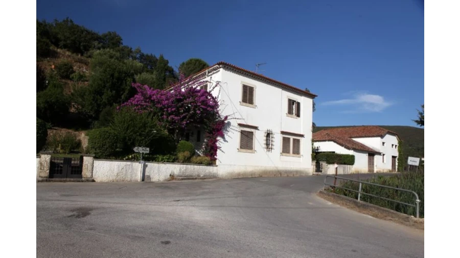 Quinta para Venda em Leiria, Pousos, Barreira e Cortes Foto 6