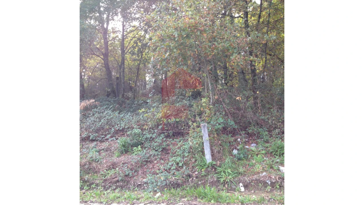 Terreno para Venda em Esqueiros, Nevogilde e Travassós Foto 4