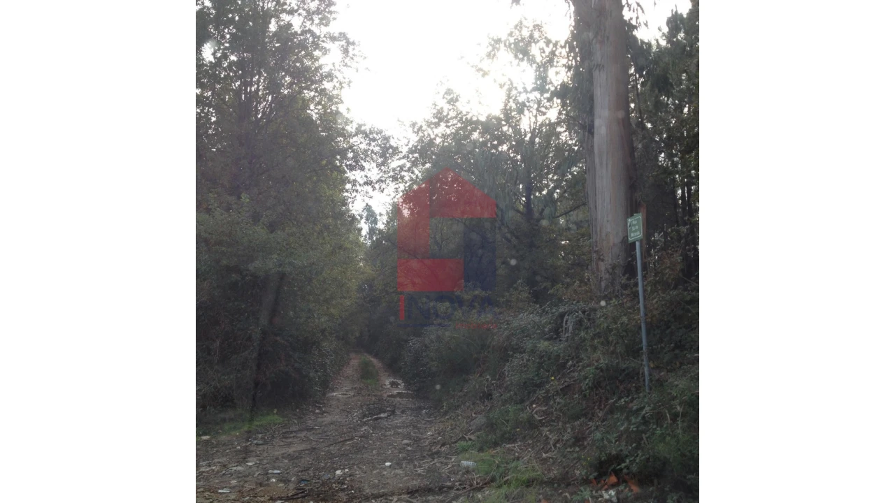 Terreno para Venda em Esqueiros, Nevogilde e Travassós Foto 2
