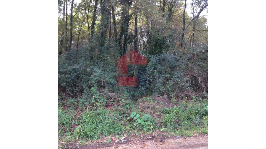 Terreno para Venda em Esqueiros, Nevogilde e Travassós Foto 3