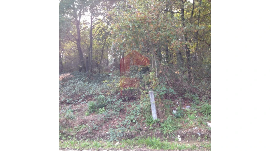 Terreno para Venda em Esqueiros, Nevogilde e Travassós Foto 4
