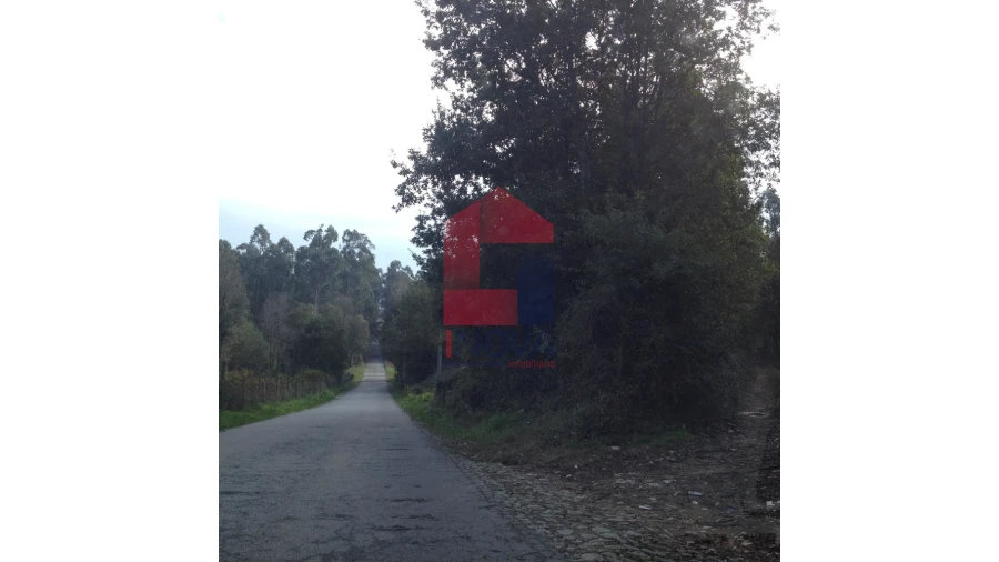 Terreno para Venda em Esqueiros, Nevogilde e Travassós Foto 7