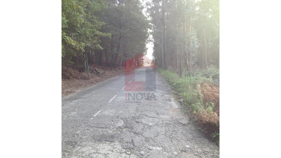 Terreno para Venda em Esqueiros, Nevogilde e Travassós Foto 5