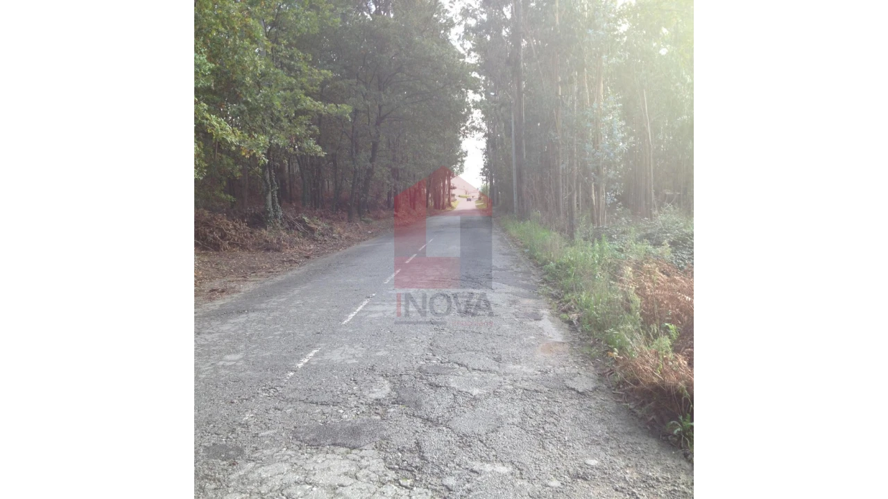 Terreno para Venda em Esqueiros, Nevogilde e Travassós Foto 5