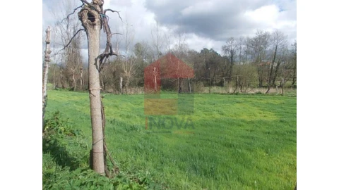 Terreno para Venda em Gême