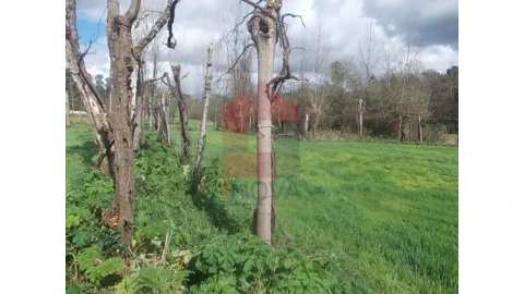 Terreno para Venda em Gême