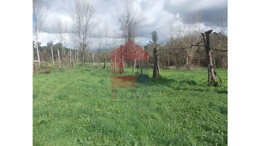 Terreno para Venda em Gême Foto 4