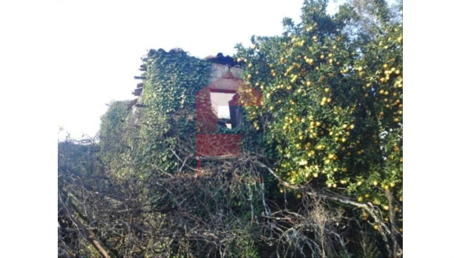 Moradia T3 para Venda em Prado (São Miguel) Foto 3