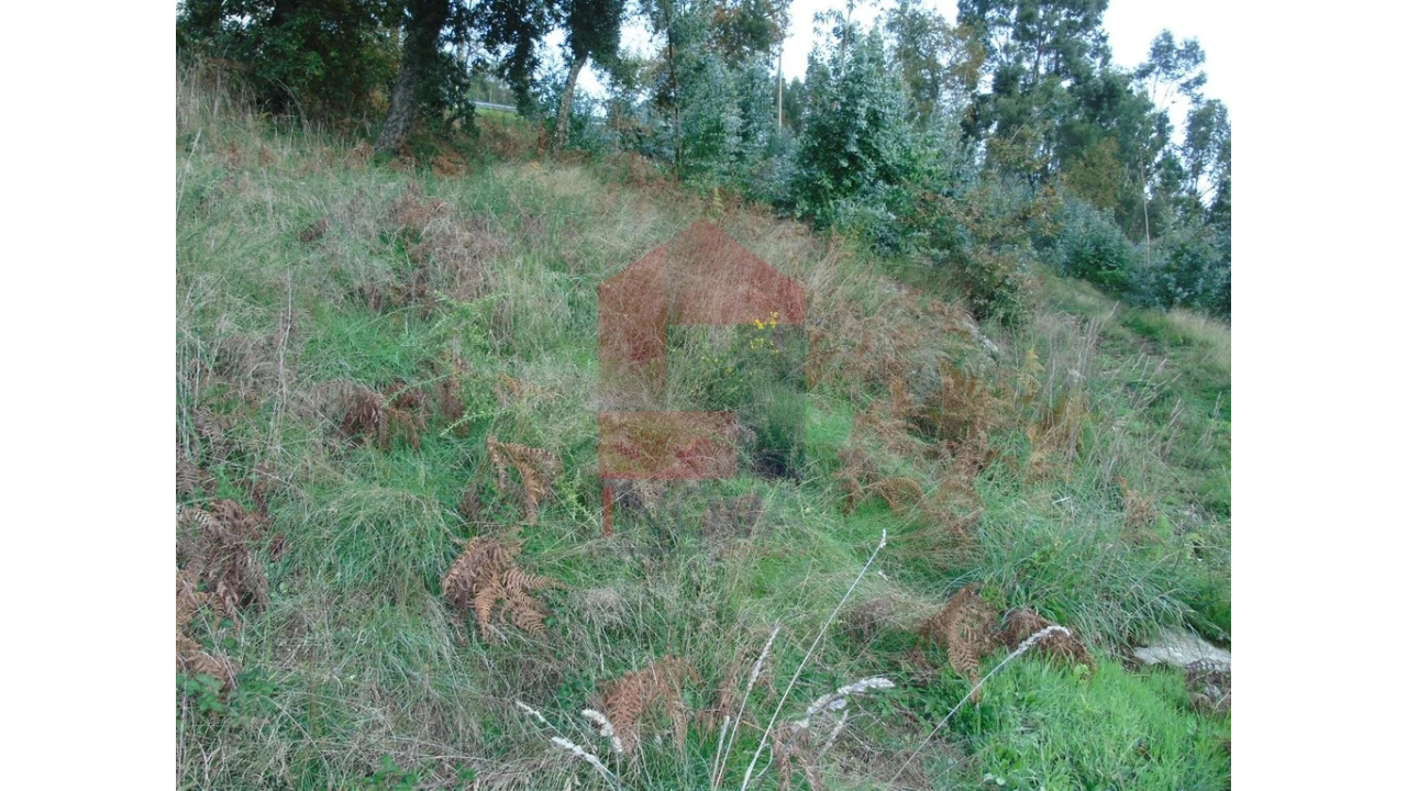 Terreno para Venda em Escariz (São Mamede) e Escariz (São Martinho) Foto 4