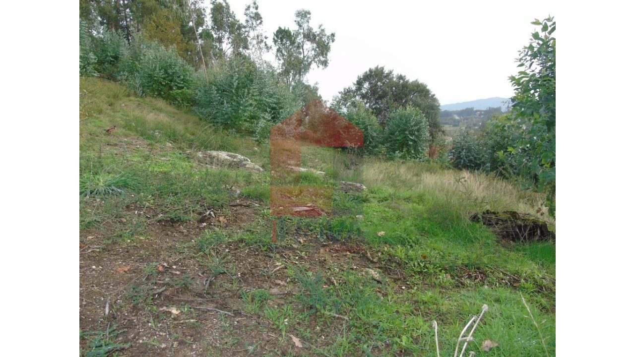 Terreno para Venda em Escariz (São Mamede) e Escariz (São Martinho) Foto 2