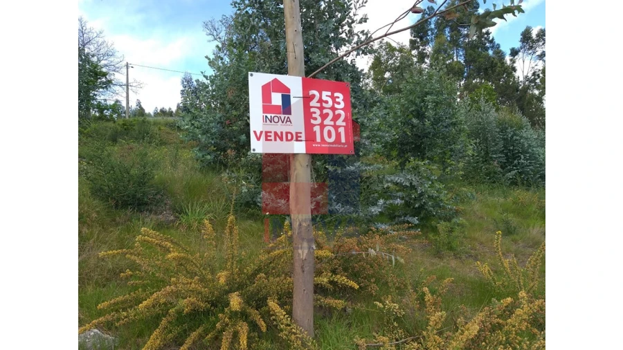 Terreno para Venda em Escariz (São Mamede) e Escariz (São Martinho) Foto 8