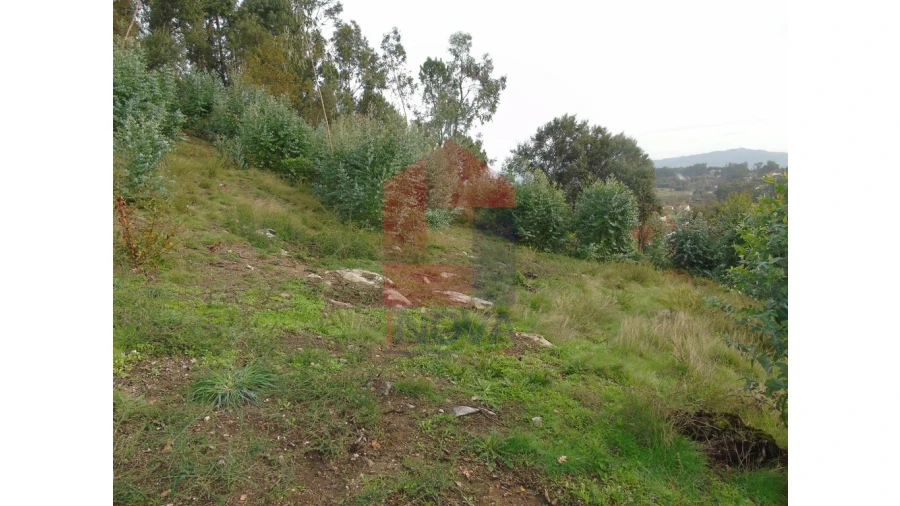 Terreno para Venda em Escariz (São Mamede) e Escariz (São Martinho) Foto 1