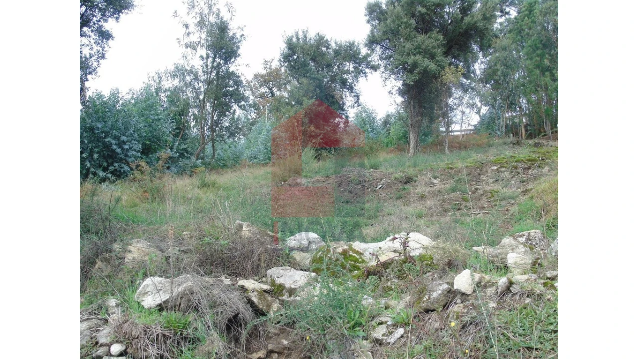 Terreno para Venda em Escariz (São Mamede) e Escariz (São Martinho) Foto 6