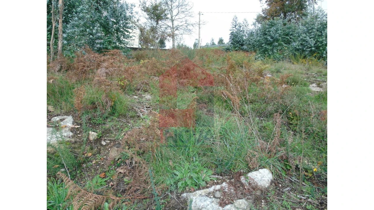 Terreno para Venda em Escariz (São Mamede) e Escariz (São Martinho) Foto 3