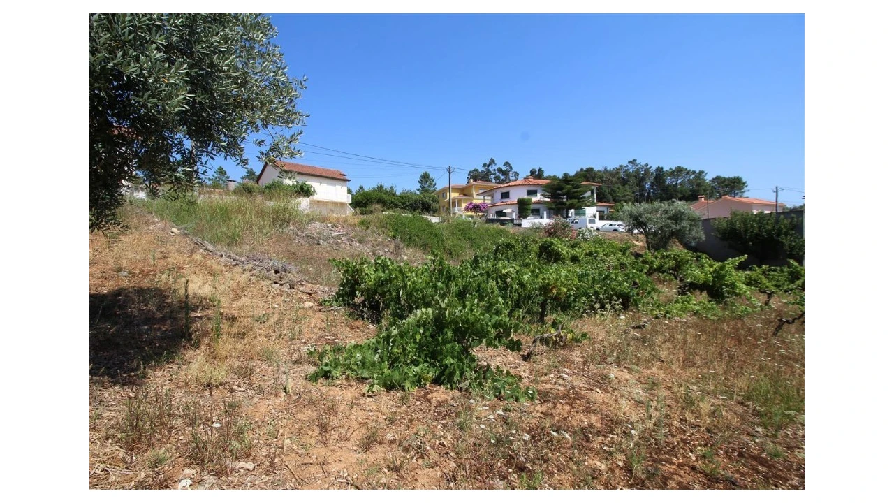 Terreno para Venda em Assafarge e Antanhol Foto 4