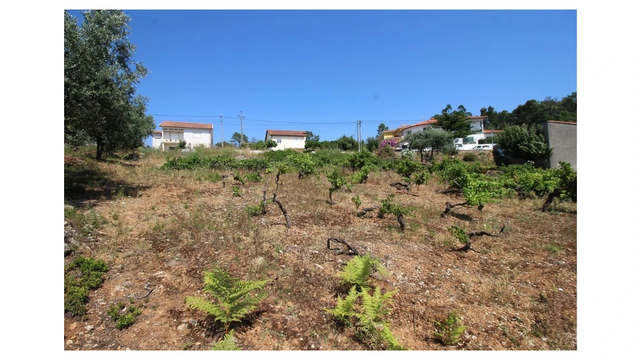 Terreno para Venda em Assafarge e Antanhol Foto 3