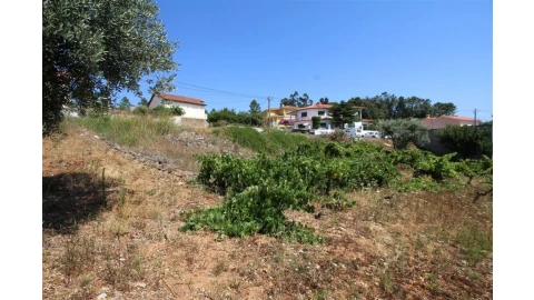 Terreno para Venda em Assafarge e Antanhol