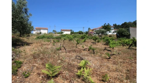 Terreno para Venda em Assafarge e Antanhol