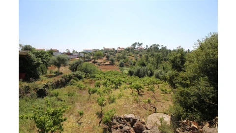 Terreno para Venda em Assafarge e Antanhol