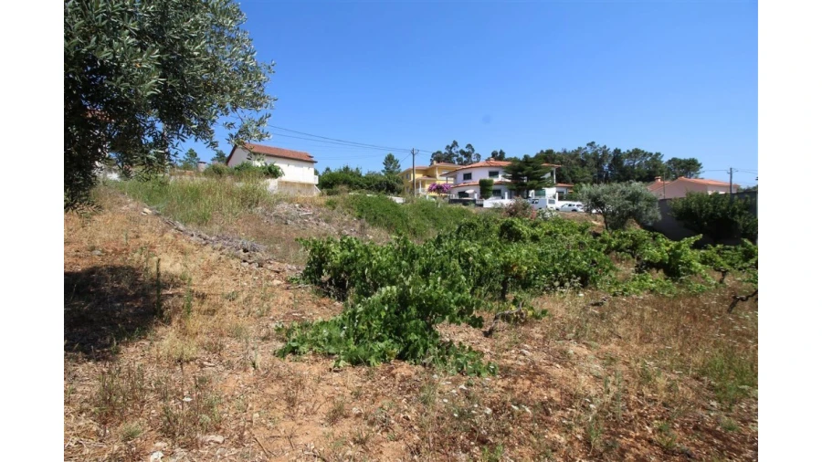 Terreno para Venda em Assafarge e Antanhol Foto 4