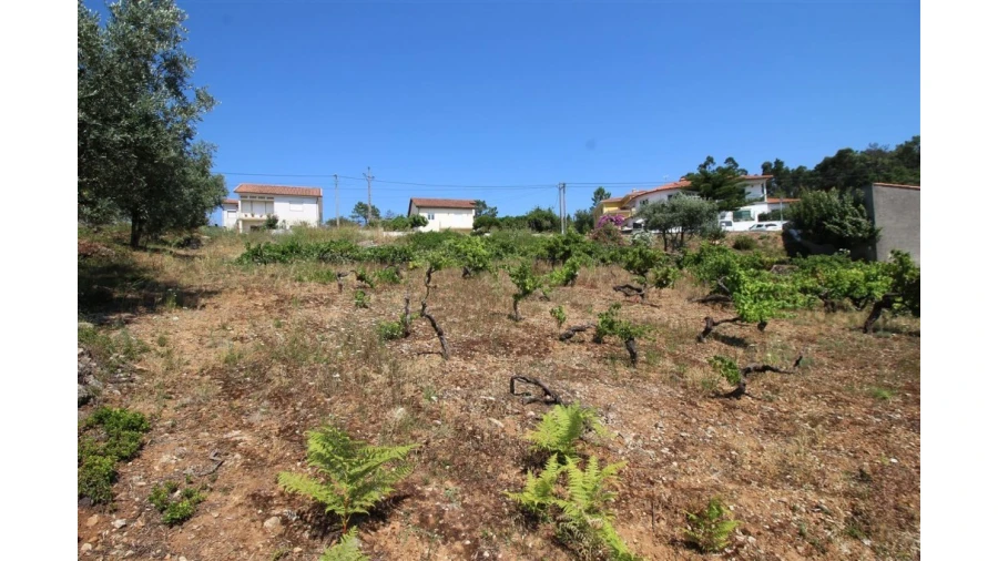 Terreno para Venda em Assafarge e Antanhol Foto 3