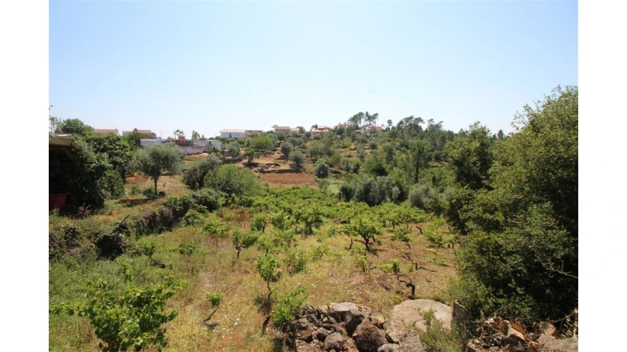 Terreno para Venda em Assafarge e Antanhol Foto 2