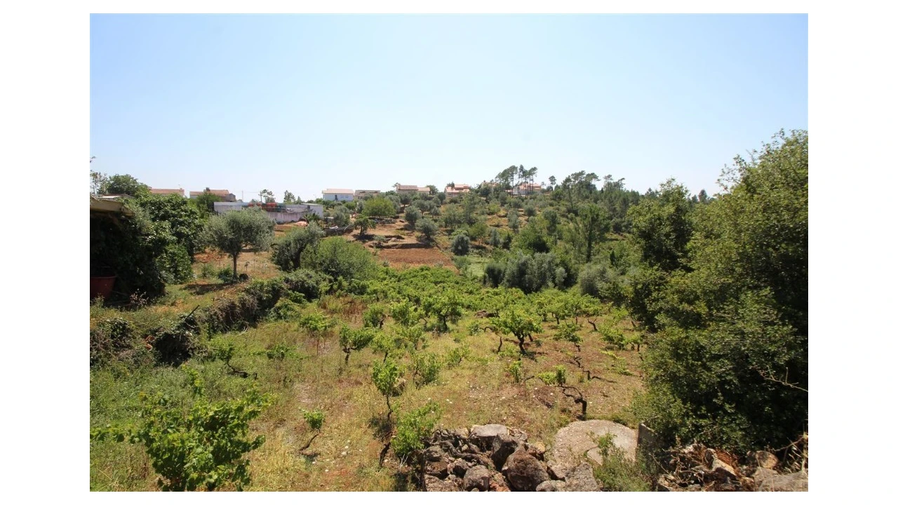 Terreno para Venda em Assafarge e Antanhol Foto 2