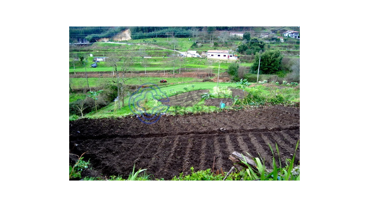 Quinta T1 para Venda em Guilhufe e Urrô Foto 8