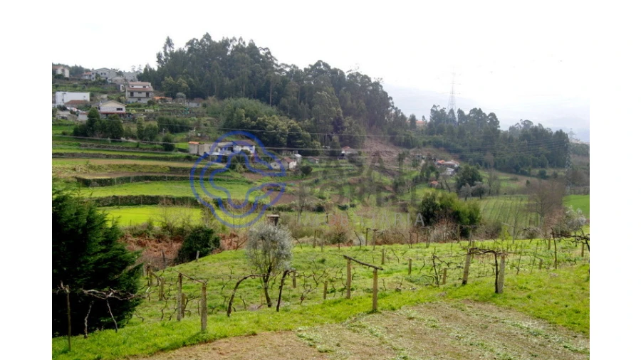 Quinta T1 para Venda em Guilhufe e Urrô Foto 13