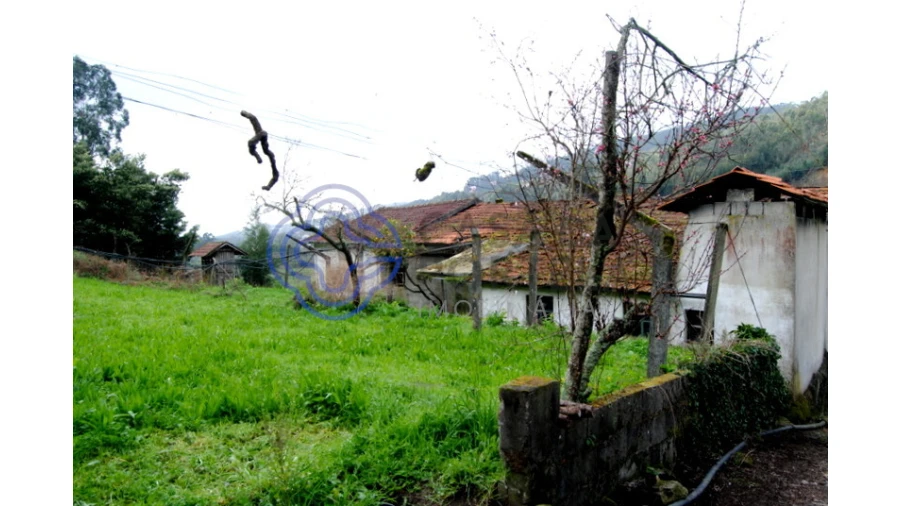 Quinta T1 para Venda em Guilhufe e Urrô Foto 9