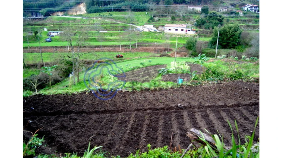 Quinta T1 para Venda em Guilhufe e Urrô Foto 8