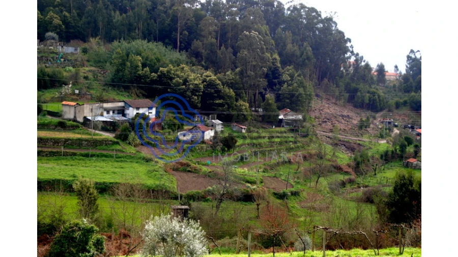 Quinta T1 para Venda em Guilhufe e Urrô Foto 11