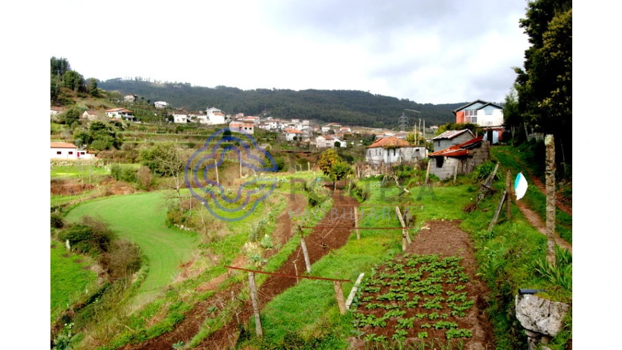 Quinta T1 para Venda em Guilhufe e Urrô Foto 4
