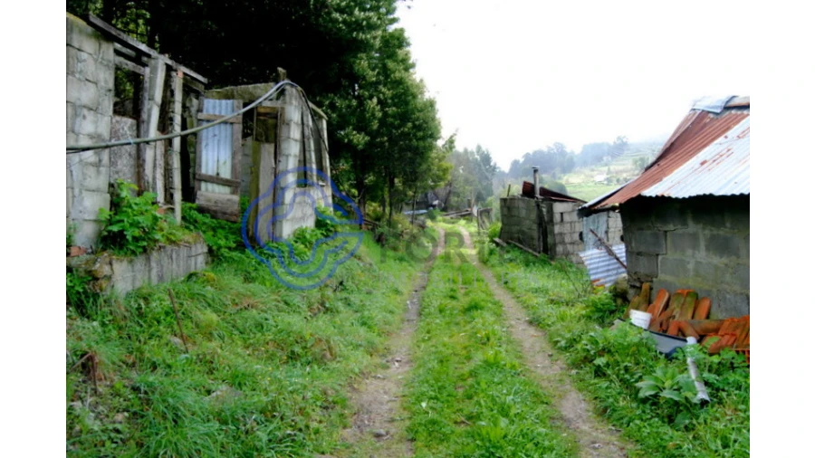 Quinta T1 para Venda em Guilhufe e Urrô Foto 10