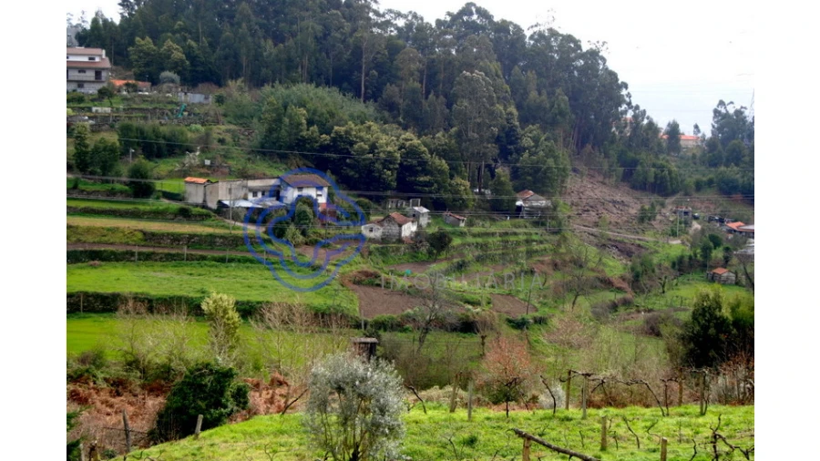 Quinta T1 para Venda em Guilhufe e Urrô Foto 12