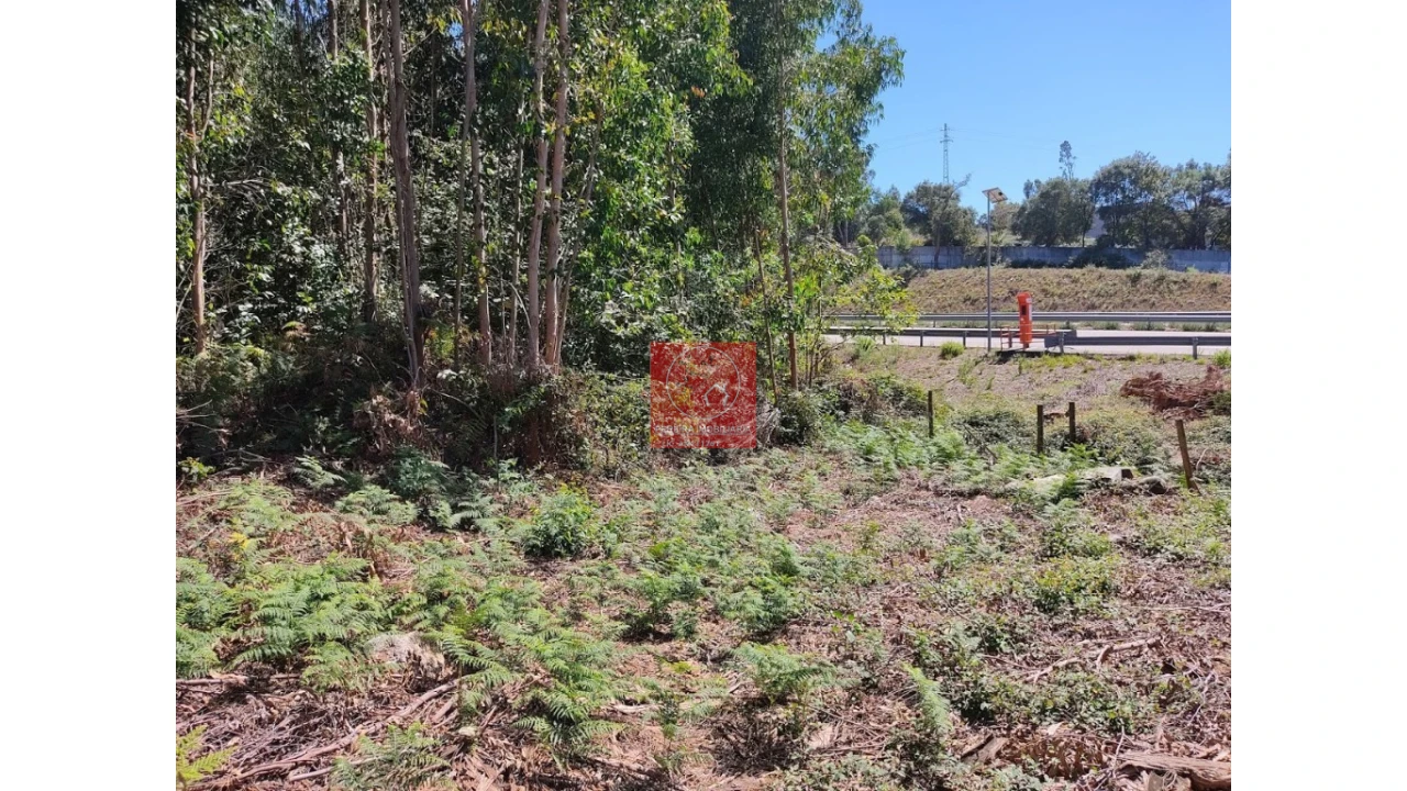 Terreno para Venda em Touguinha e Touguinhó Foto 6