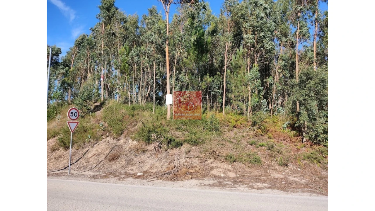 Terreno para Venda em Touguinha e Touguinhó Foto 1
