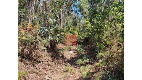 Terreno para Venda em Touguinha e Touguinhó