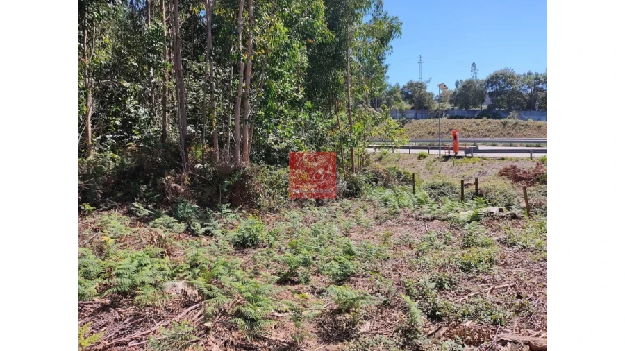 Terreno para Venda em Touguinha e Touguinhó Foto 6