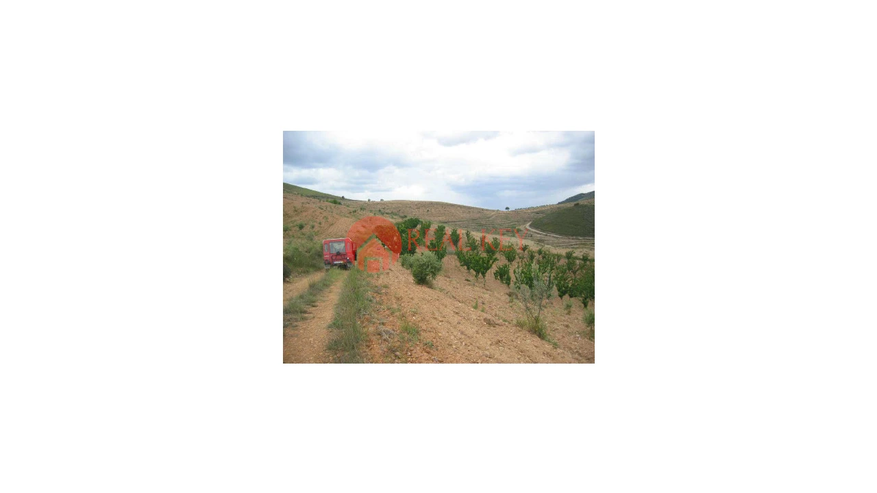 Quinta T5 para Venda em Torre de Moncorvo Foto 9