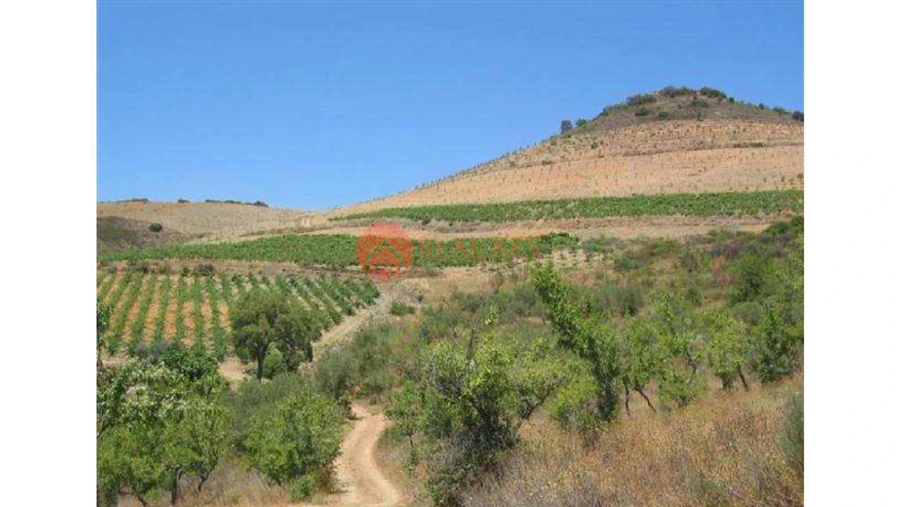 Quinta T5 para Venda em Torre de Moncorvo Foto 1